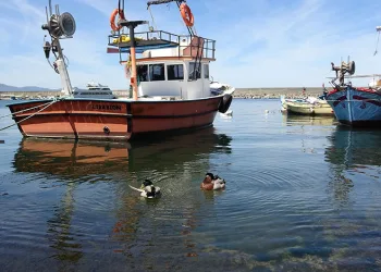 Kıyı balıkçılığı yapanların sayısında azalış