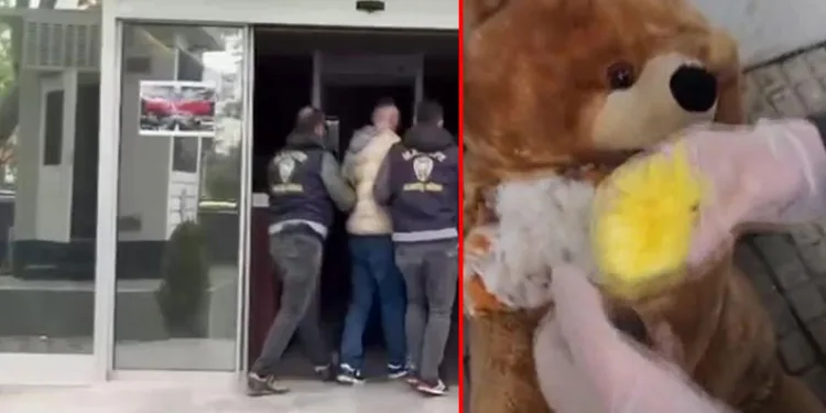 Oyuncak ayının içinden uyuşturucu çıktı