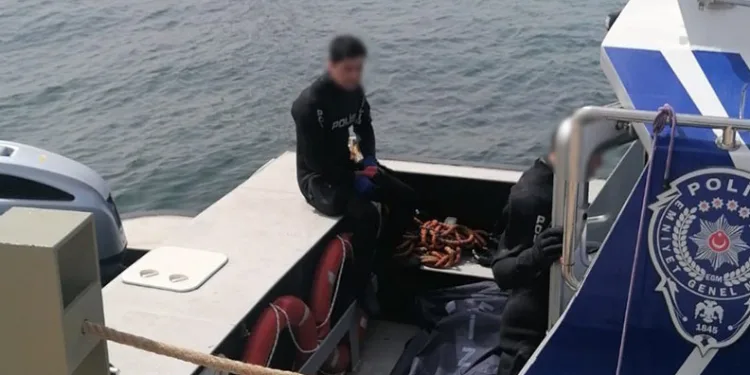 Yüzmek için denize giren şahsın cesedi bulundu