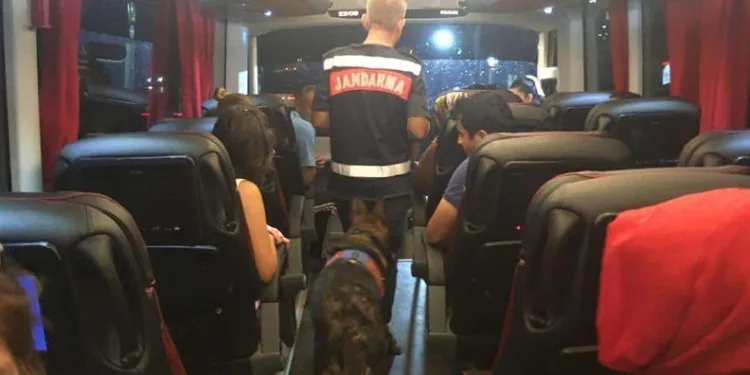 Uyuşturucu ile seyahate jandarma engeli