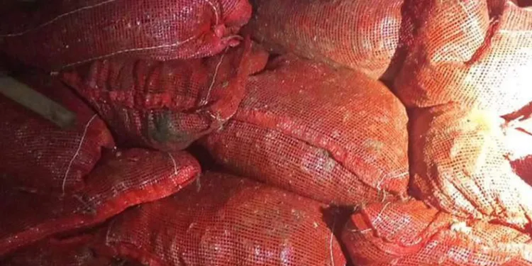 Yalova’da 1 ton 150 kilo kaçak midye ele geçirildi