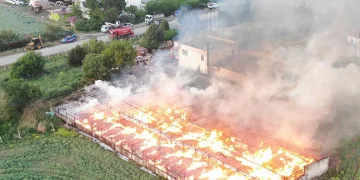 Manisa’da 160 ton kozalak kül oldu