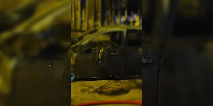 Alev alan otomobilin sürücüsü hayatını kaybetti