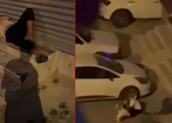 Pitbull silahla bile durdurulamadı
