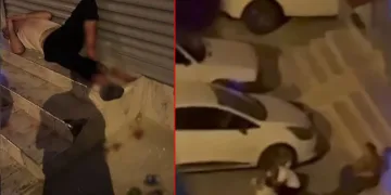 Pitbull silahla bile durdurulamadı