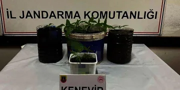 Saksıda uyuşturucu ele geçirildi