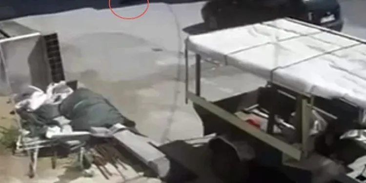 Yolda yatan köpeğin üzerinden otomobili ile geçti