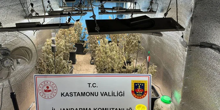 Çiftlik evlerini kenevir serasına çevirmişler: 4 gözaltı