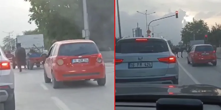 Bursa’da atları kamyonetin arkasına bağlayarak götürdü