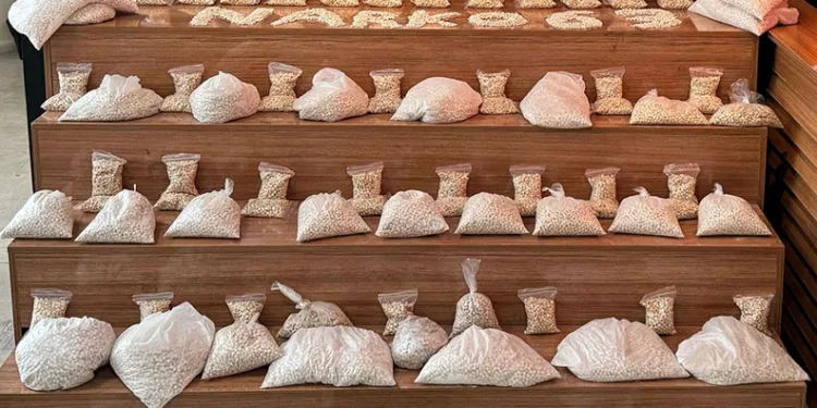 380 bin adet uyuşturucu hap ele geçirildi
