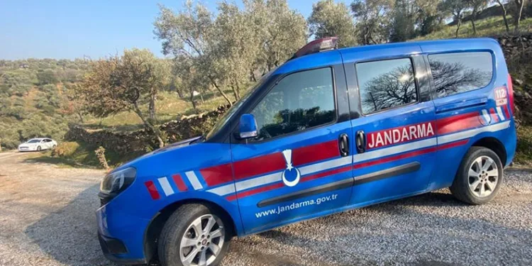 Köpeklerine domuz yavrusunu öldürterek kayda alan şahsa para cezası