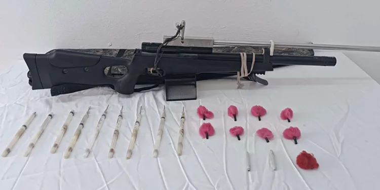 Aydın jandarması izinsiz ava geçit vermedi