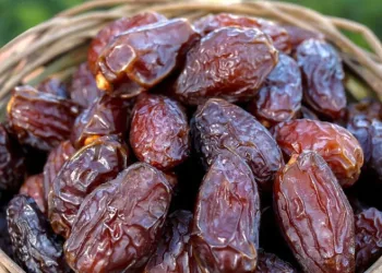 Filistin hurmasına gümrük muafiyeti
