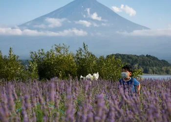 Fuji Dağı’na turist önlemi