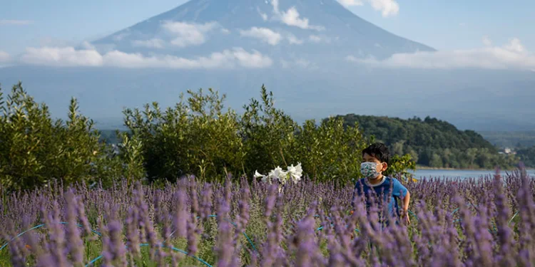 Fuji Dağı’na turist önlemi
