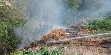 Yol kenarındaki çürümüş samanlar alev aldı