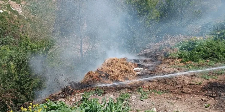 Yol kenarındaki çürümüş samanlar alev aldı