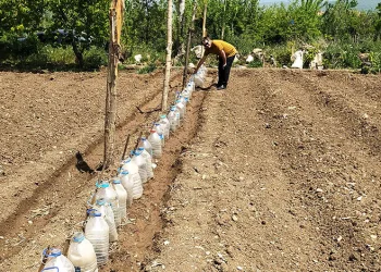 Pet şişelerden sera yaptı