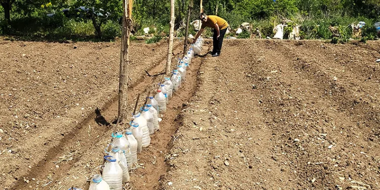 Pet şişelerden sera yaptı