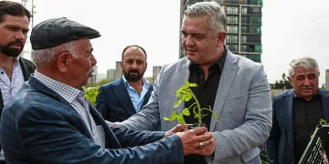 Çiftçiye fide desteği
