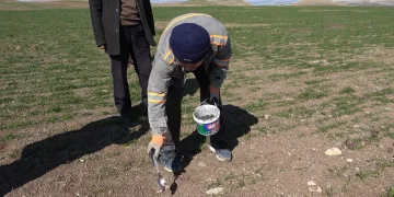 Bilinçsiz ilaçlama doğal dengeyi bozdu