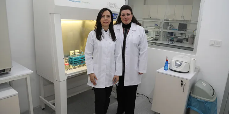Hücrelerden üretilen biyomalzeme yara iyileştirmesini hızlandıracak