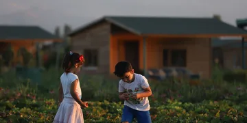 Büyükşehir’de 2 bin 543 adet “hobi bahçesi” başvuruları başladı