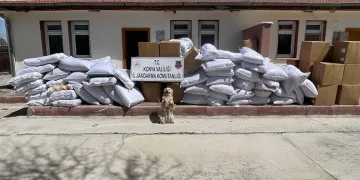 Durdurulan tırlarda 14 ton kaçak tütün ele geçirildi