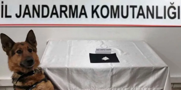 Kargo ile uyuşturucu teminine suçüstü! 3 kişi yakalandı