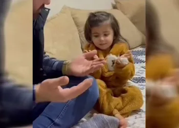 Kamyonetin çarptığı 3 yaşındaki kız çocuğu hayatını kaybetti