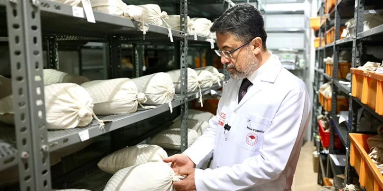 Türkiye’nin genetik materyali bankalarda korunuyor