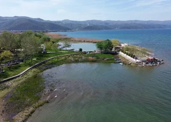 Bursa İznik Gölü’nden sevindirici haber