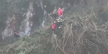 Ağaç keserken uçuruma yuvarlandı