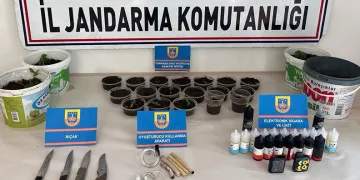 Manisa’da saksılara ekilmiş 35 kök kenevir ele geçirildi