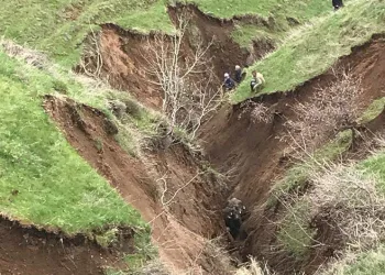 Bitlis’te toprak kayması: Hayvanlar vadiye düştü