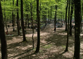 İstanbullular Belgrad Ormanına akın etti