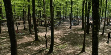 İstanbullular Belgrad Ormanına akın etti