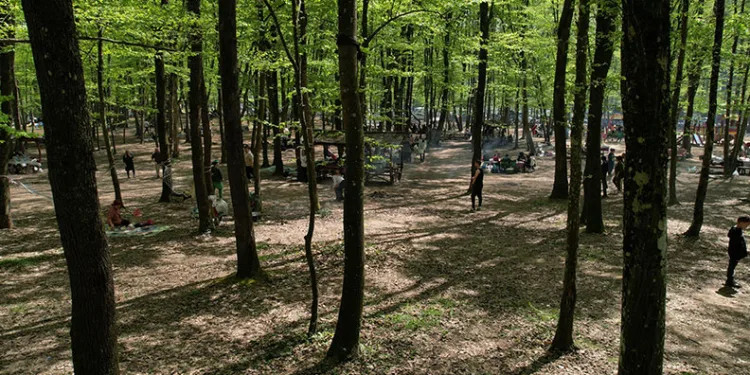 İstanbullular Belgrad Ormanına akın etti