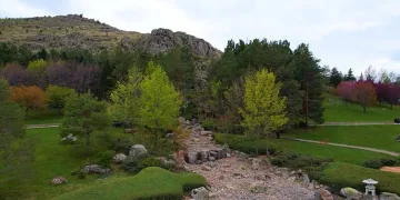 Bozkırda renk cümbüşü