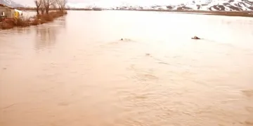 Yüksekova’nın ovası göle döndü
