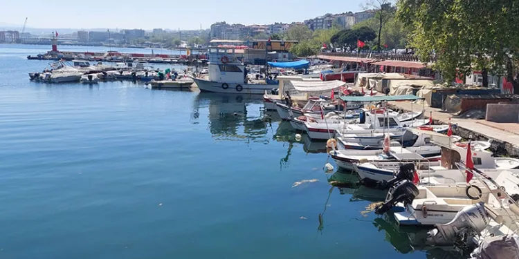 Av yasağı başladı