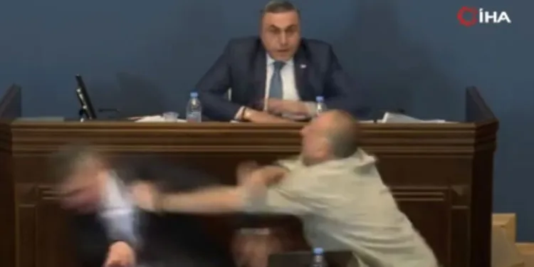 Gürcistan parlamentosunda yumruklu kavga