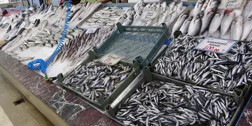 Balıkçılar geride kalan av sezonundan memnun