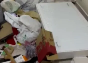 Evi soyulan kadının hırsız sitemi