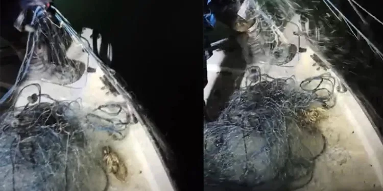Isparta’da 600 metre fanyalı ağ ele geçirildi