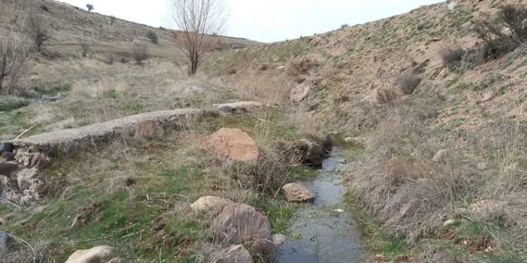 Develili bağcılardan Vali’ye mektup