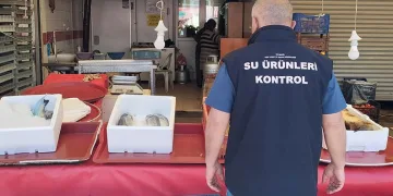 Beyşehir’de balık işleme tesisleri ve balık satış yerleri denetlendi