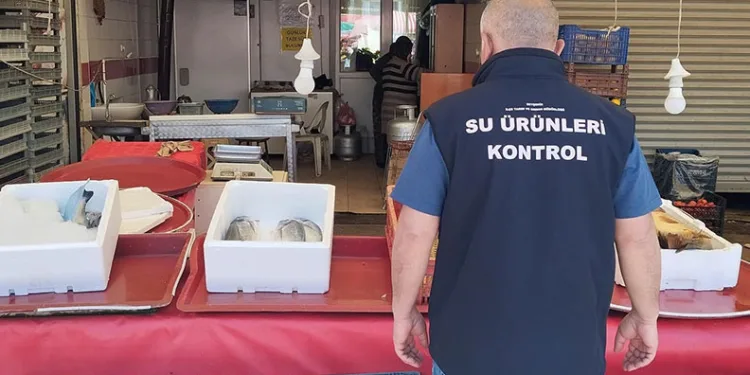 Beyşehir’de balık işleme tesisleri ve balık satış yerleri denetlendi