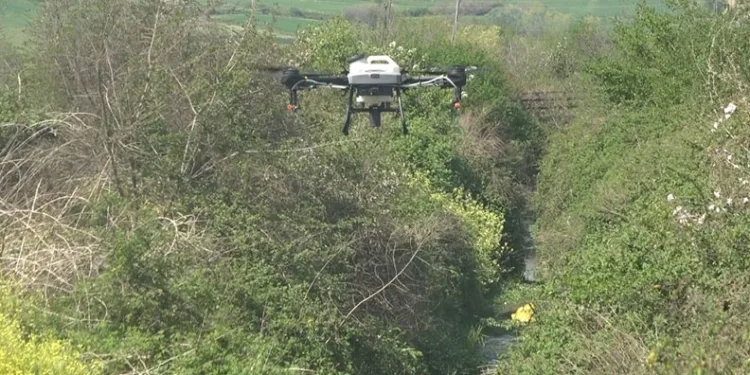 Bafra Ovası’nda dron destekli sivrisinek mücadelesi