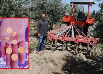 Bahçesini çapalayan çiftçi Bizans dönemine ait sikke buldu